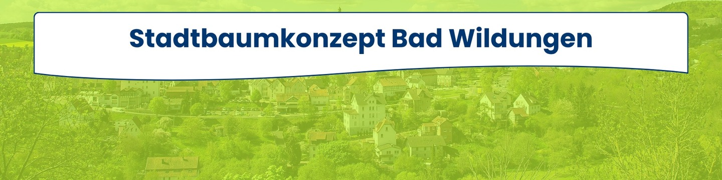 Baumkrone 