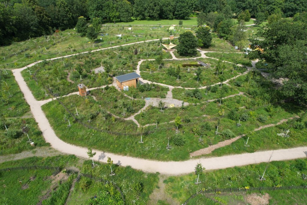 Beispiel eines neu angelegten Urbanen Waldgartens in Berlin-Britz (Foto: Jennifer Schulz)